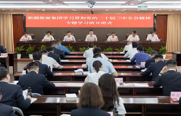 스포츠 토토 분석